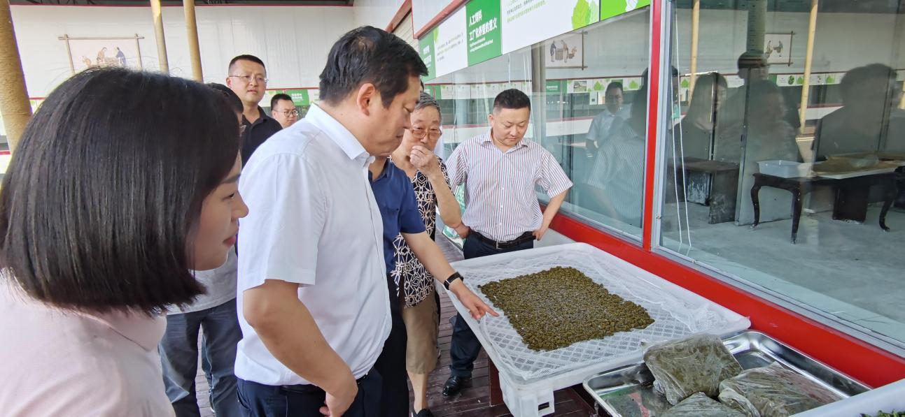 省尊龙凯时集团党委副书记、董事陈日赴嘉陵区调研茶桑产业发展情况